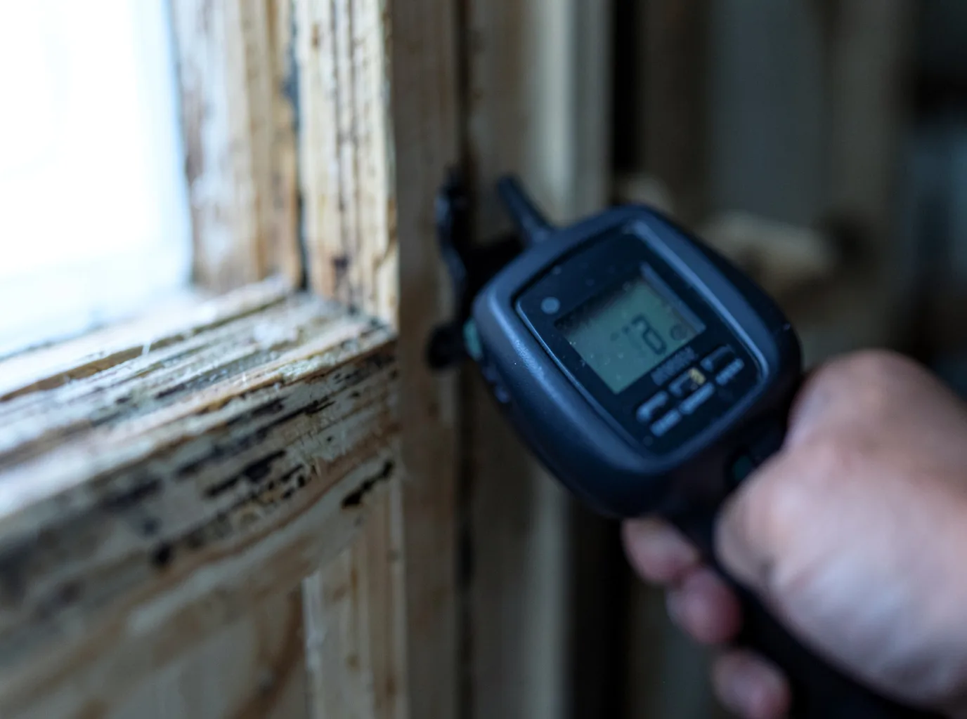 Moisture Inspection And Documentation in Andrew, IA